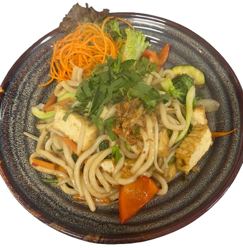Udon-Nudeln